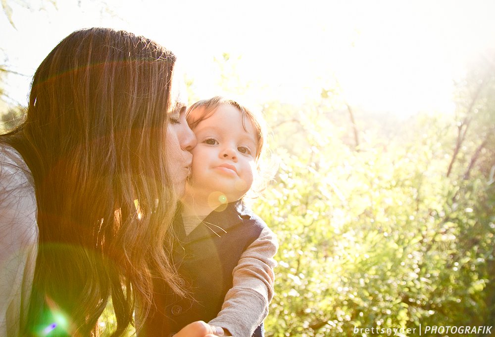 luxury horse portrait photographer Northern Virginia