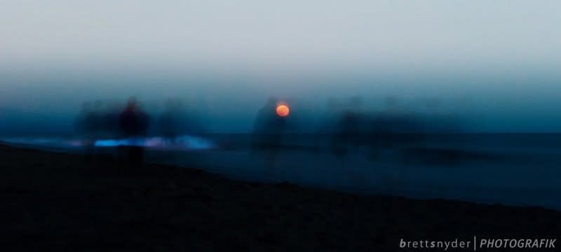 fine art equestrian landscape Virginia golden light