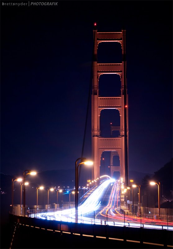 fine art equestrian stillness portrait Virginia