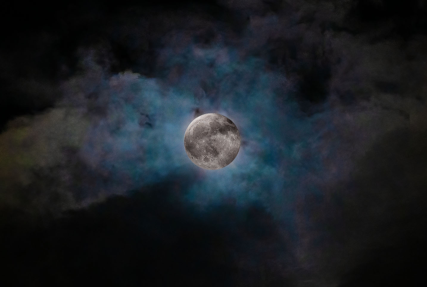 fine art horizon landscape Virginia horse country