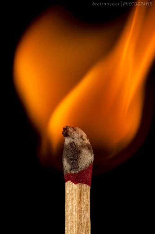 fine art last light photography Virginia countryside