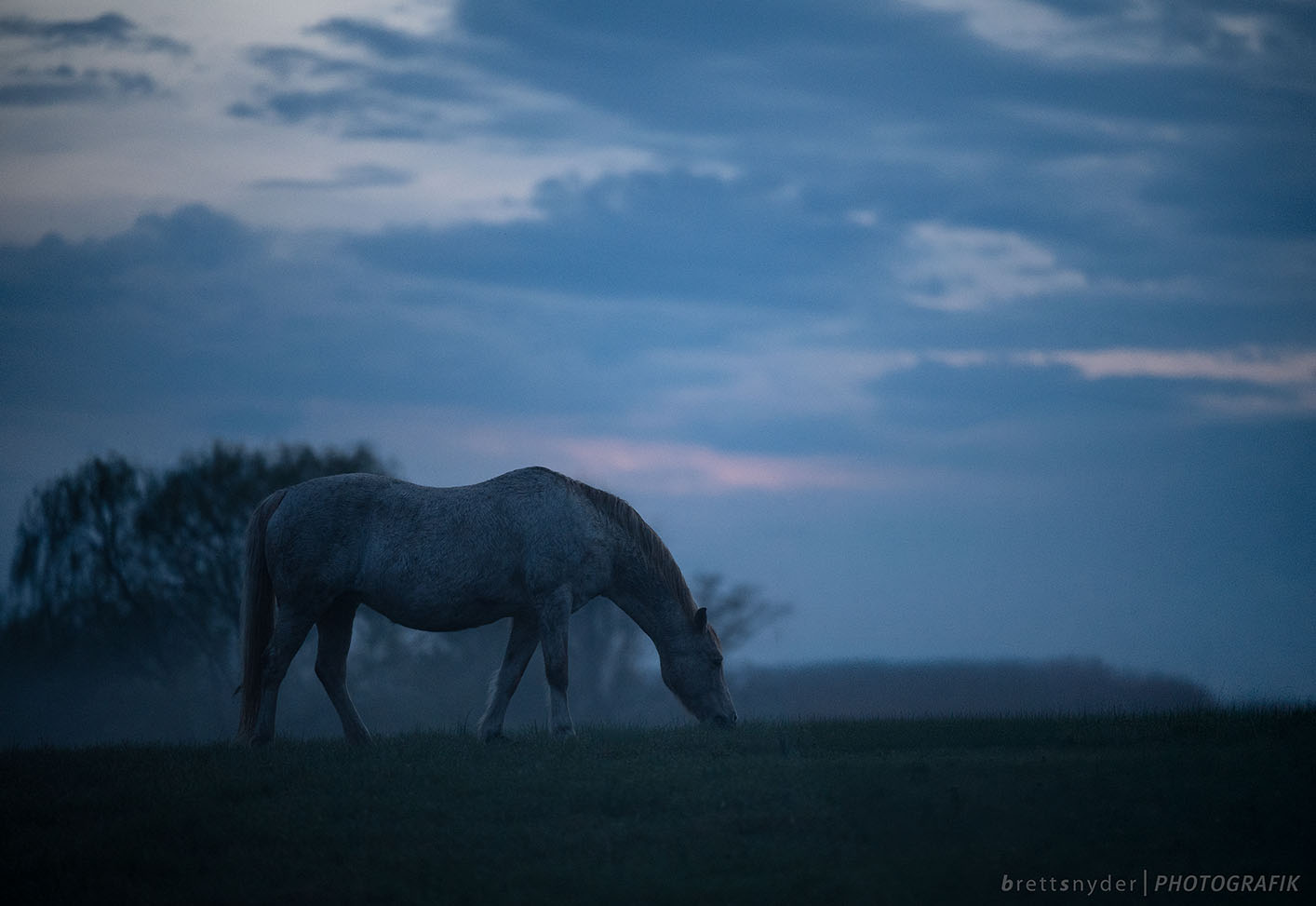 Loudoun County equestrian photography luxury portraits