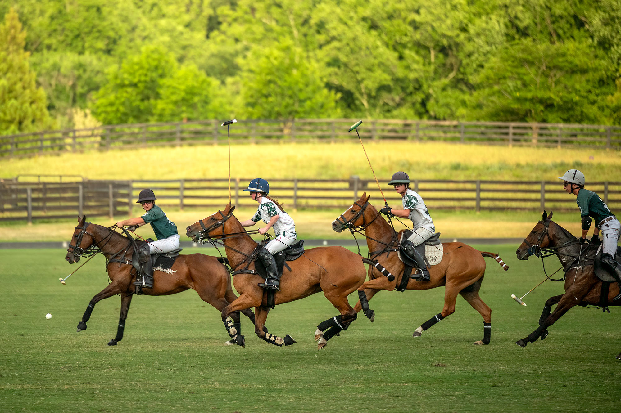 luxury equestrian photographer Northern Virginia